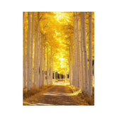 Autumn Reverie Trees Painting