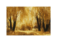 Autumn Gold Treess Yellow Forest Painting