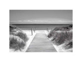 Monochrome Beach Path Painting