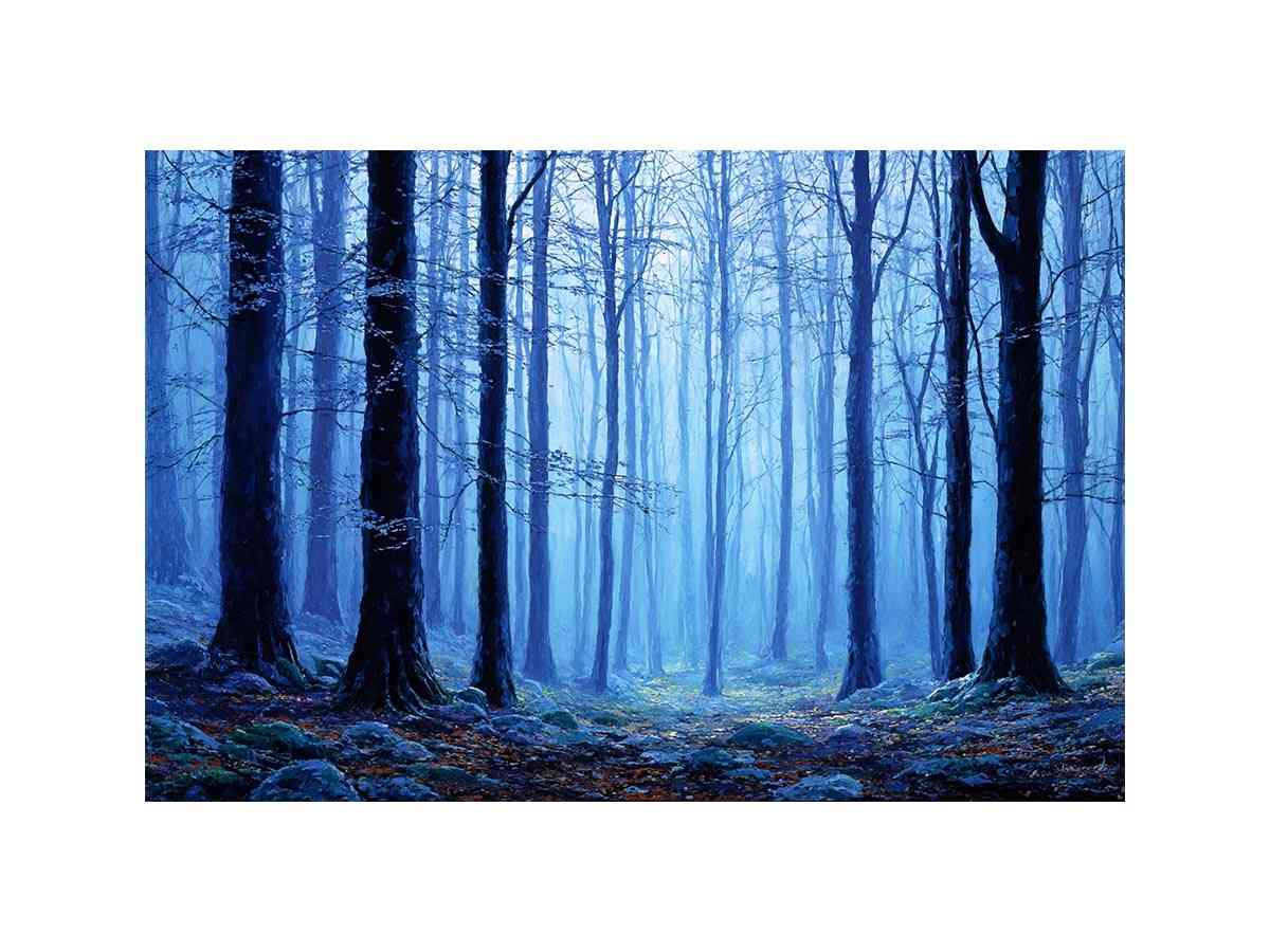 Misty Blue Forest Tress Photography Art Print