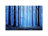 Misty Blue Forest Tress Photography Art Print