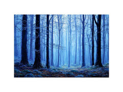 Misty Blue Forest Tress Photography Art Print