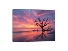 Botany Bay Australia sunset Painting