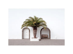 Beneath the Palm, Palm tree Door canvas art print