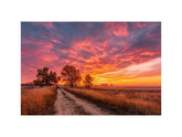 Autumn sunset Canvas Art Painting