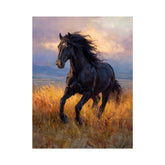 Black horse Canvas Art Painting