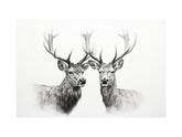 Black And White Deer Canvas Print