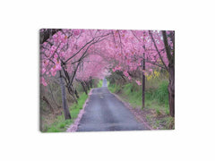 Cherry Blossom Path Canvas painting Print