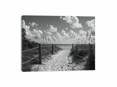 Beach Path Canvas Print balck & white Photogrpahy