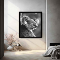 Baby Koala Canvas Print Photogrpahy art