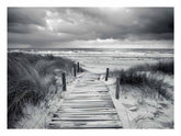 Beach Path pahotogrpahy art Canvas Print