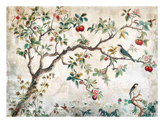 Apple Tree Canvas Print