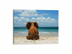 Elephant on the beach Canvas Print