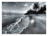 Beach black & white Canvas Print