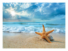 Starfish on Beach Canvas Print
