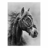 Lovely Horse balck & white Canvas Painting