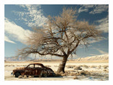 Desert Car Parking Canvas Print