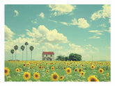 Isolated Home Sunflower painting art