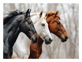 Three Horses Canvas Painting Artwork
