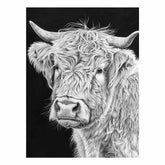 Henrietta The Highland Cow Canvas Print