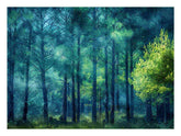 Pine Forest Canvas Print