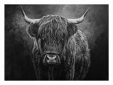 Highland Cow Black & white Canvas Print