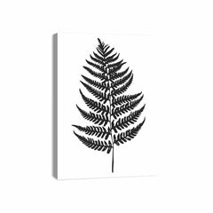 Fern Leaf black & white Canvas Print