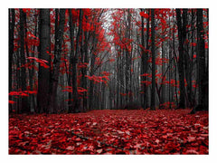 Red Forest Tress Art Canvas Print