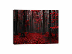 Red Trees Phtograpahy Art Canvas Print
