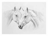 Two white Horses Canvas Print