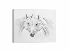 Two white Horses Canvas Print