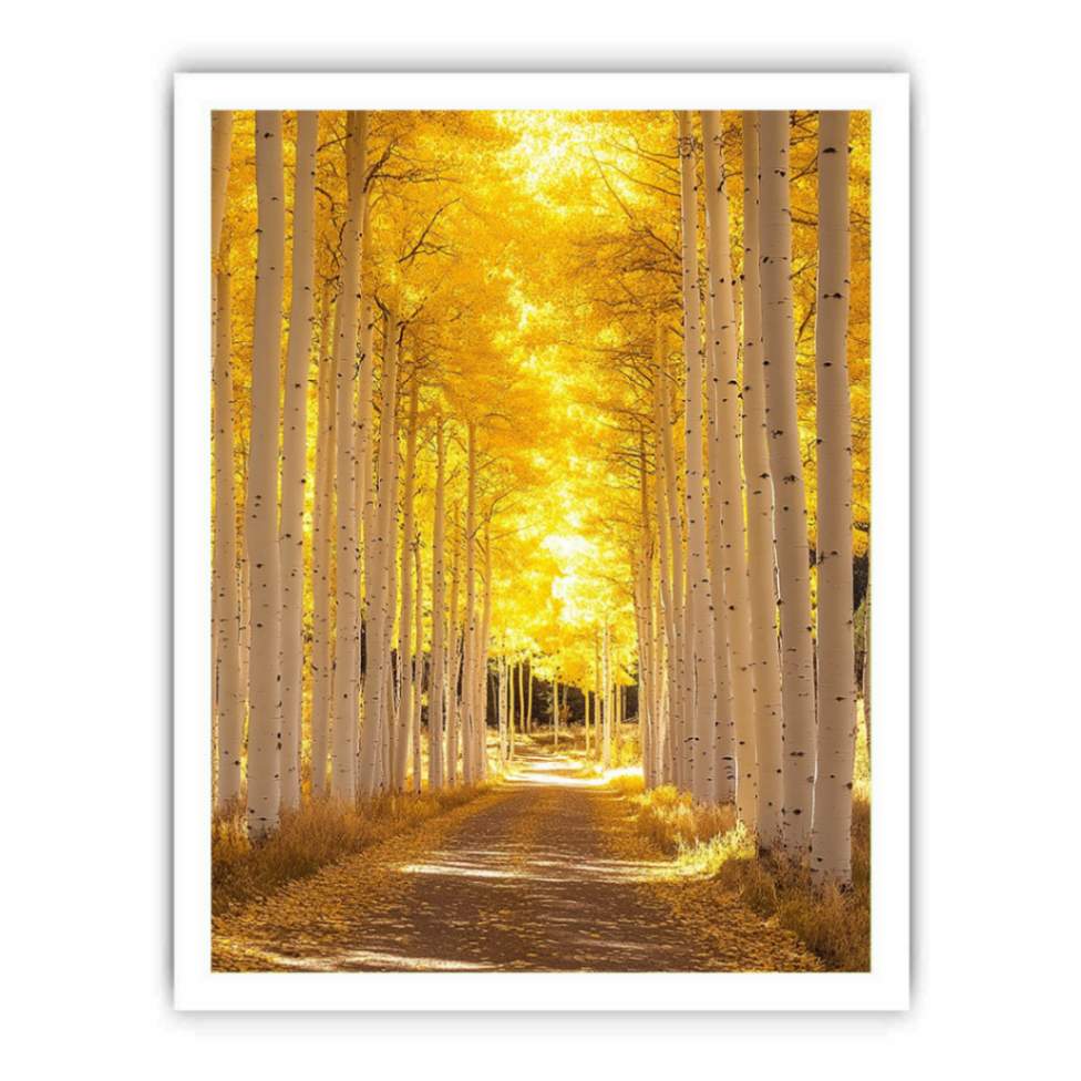 Autumn Reverie Trees Painting Painting