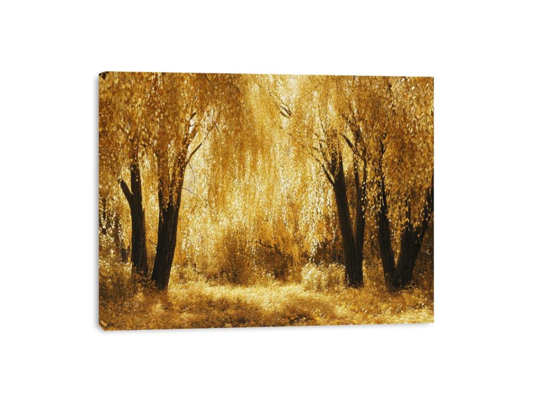 Autumn Gold Treess Yellow Forest Painting
