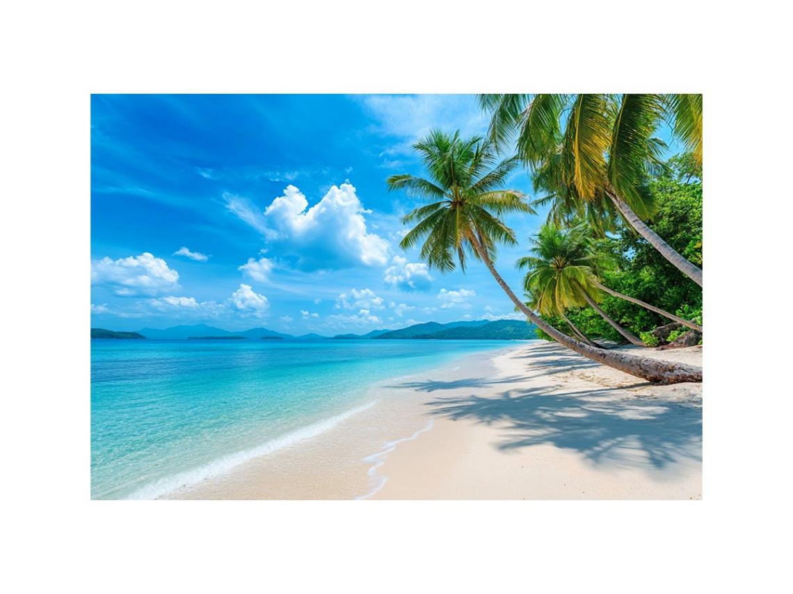 Beach Palm Tress Photography Art Print