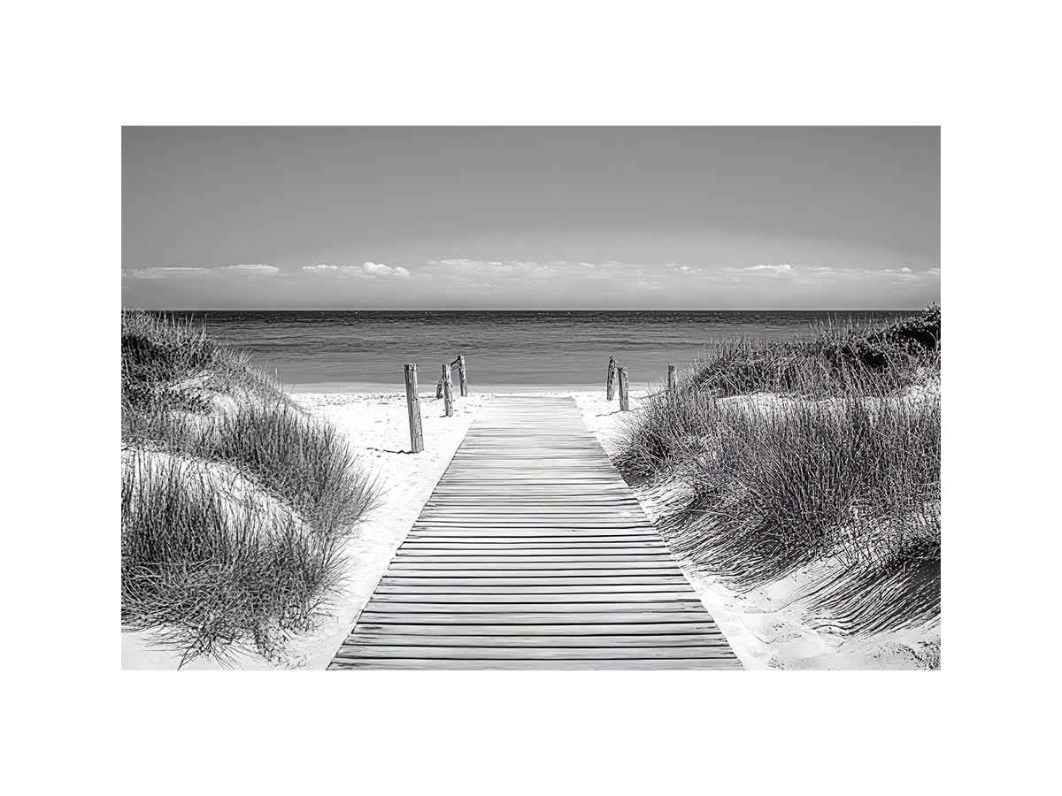 Monochrome Beach Path Painting