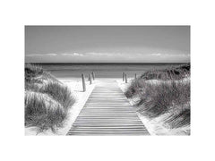 Monochrome Beach Path Painting