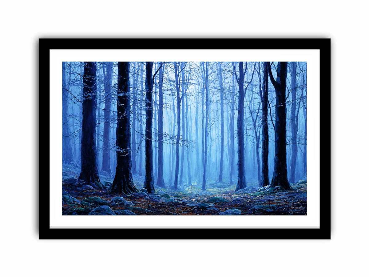 Misty  Blue Forest Tress Photography Art Print   Framed poster