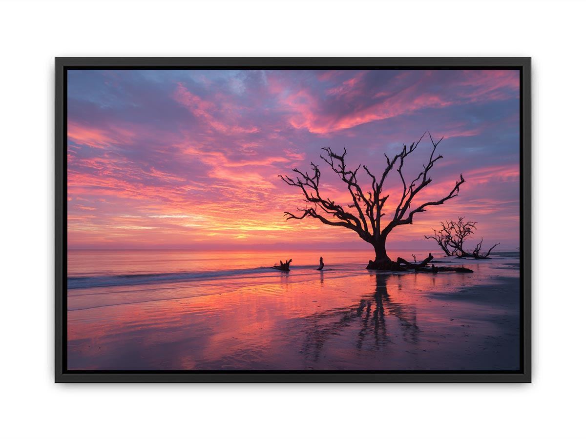 Botany Bay Australia  sunset Painting
