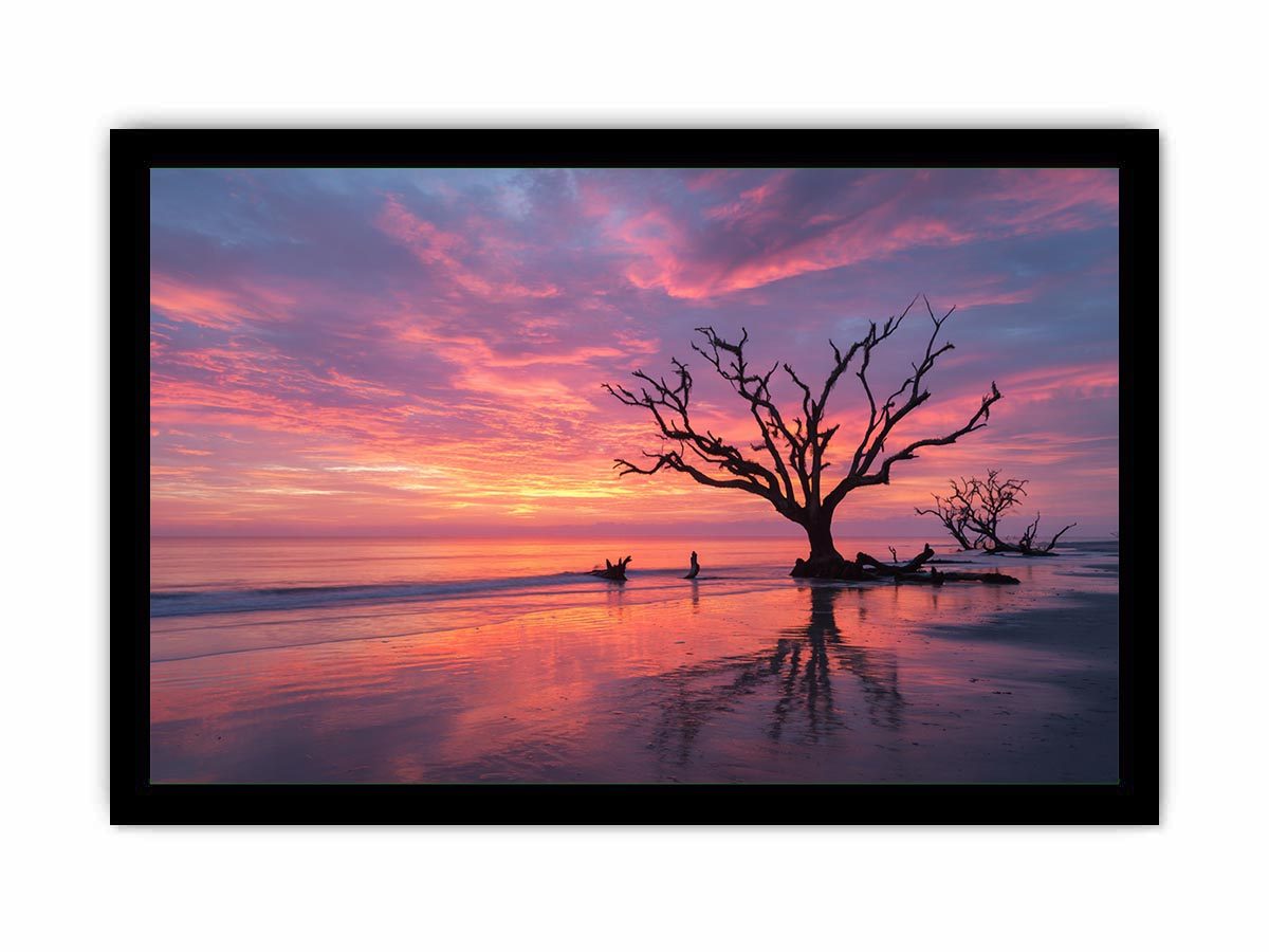 Botany Bay Australia  sunset Painting