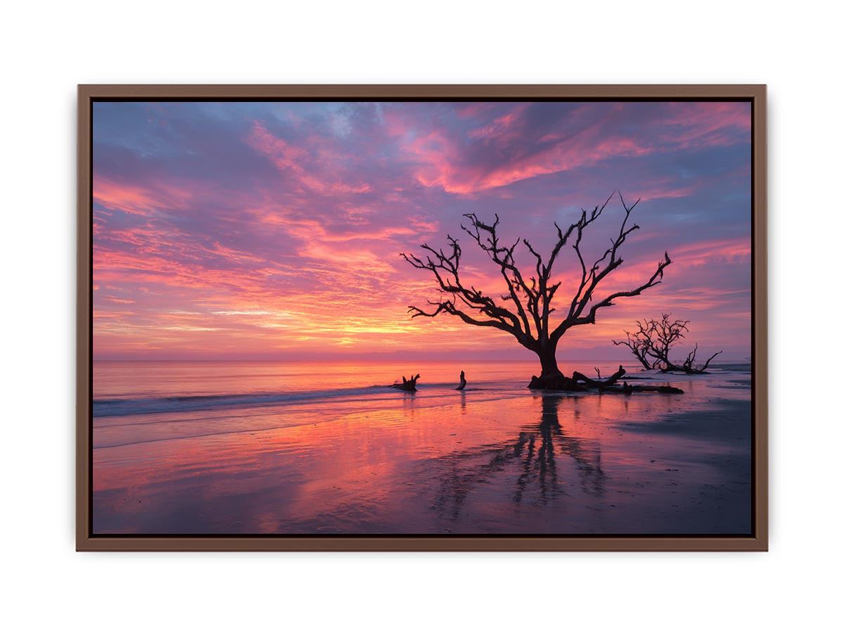 Botany Bay Australia  sunset Painting  Art Print