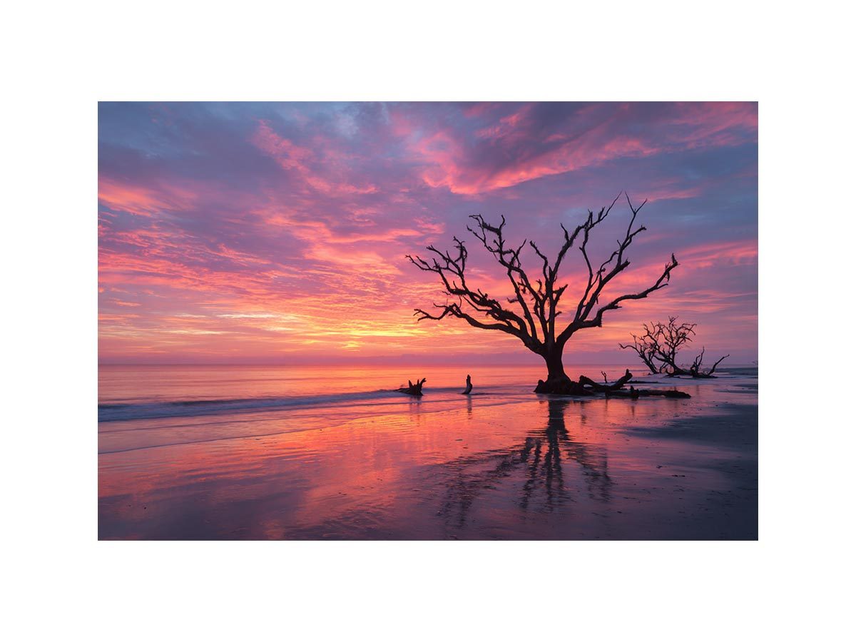 Botany Bay Australia  sunset Painting