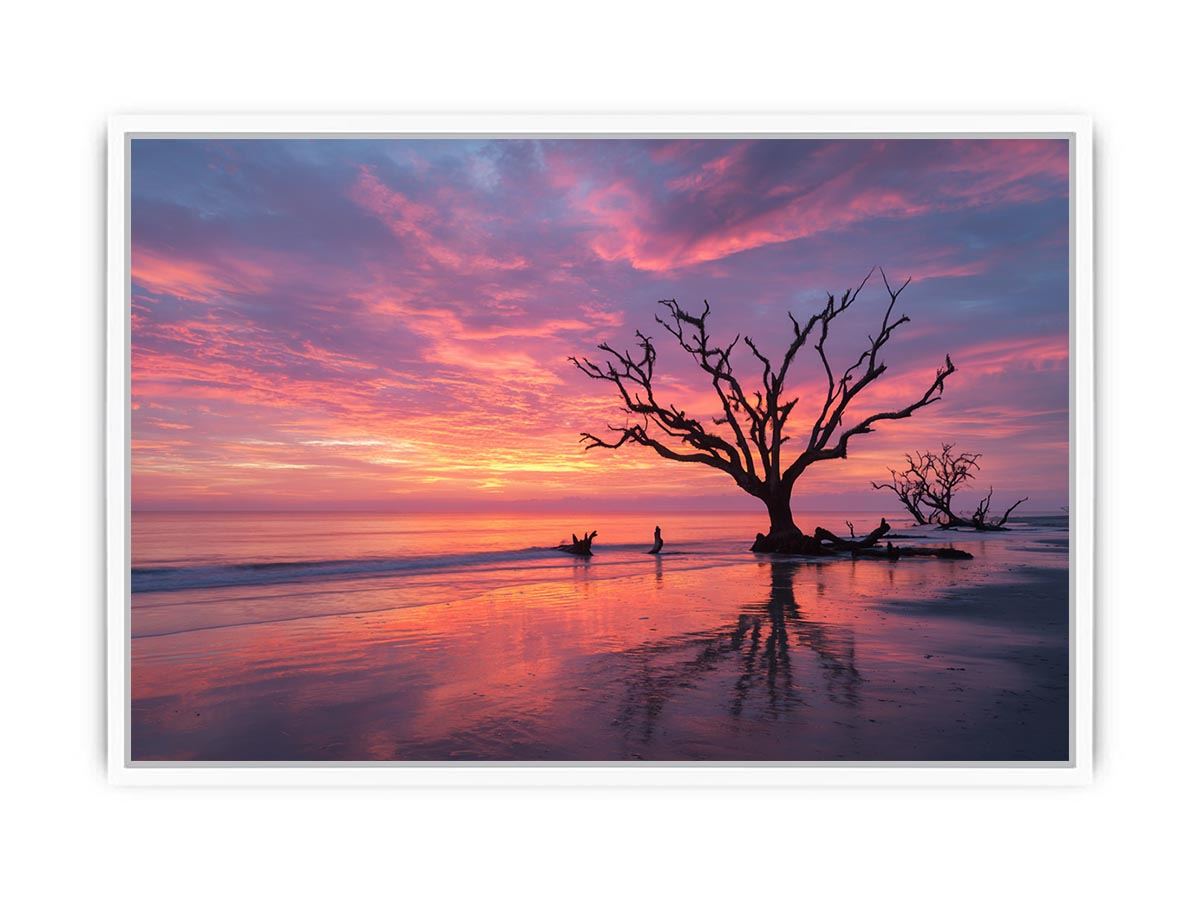 Botany Bay Australia  sunset Painting   canvas print