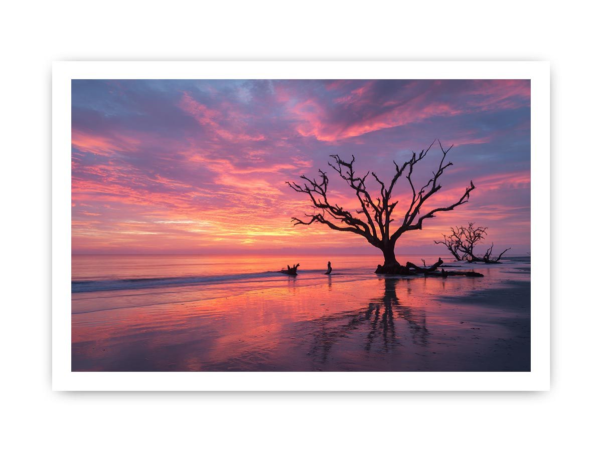 Botany Bay Australia  sunset Painting