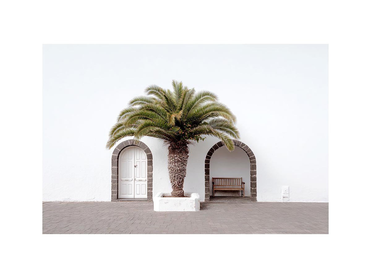 Beneath the Palm, Palm tree Door  canvas art print