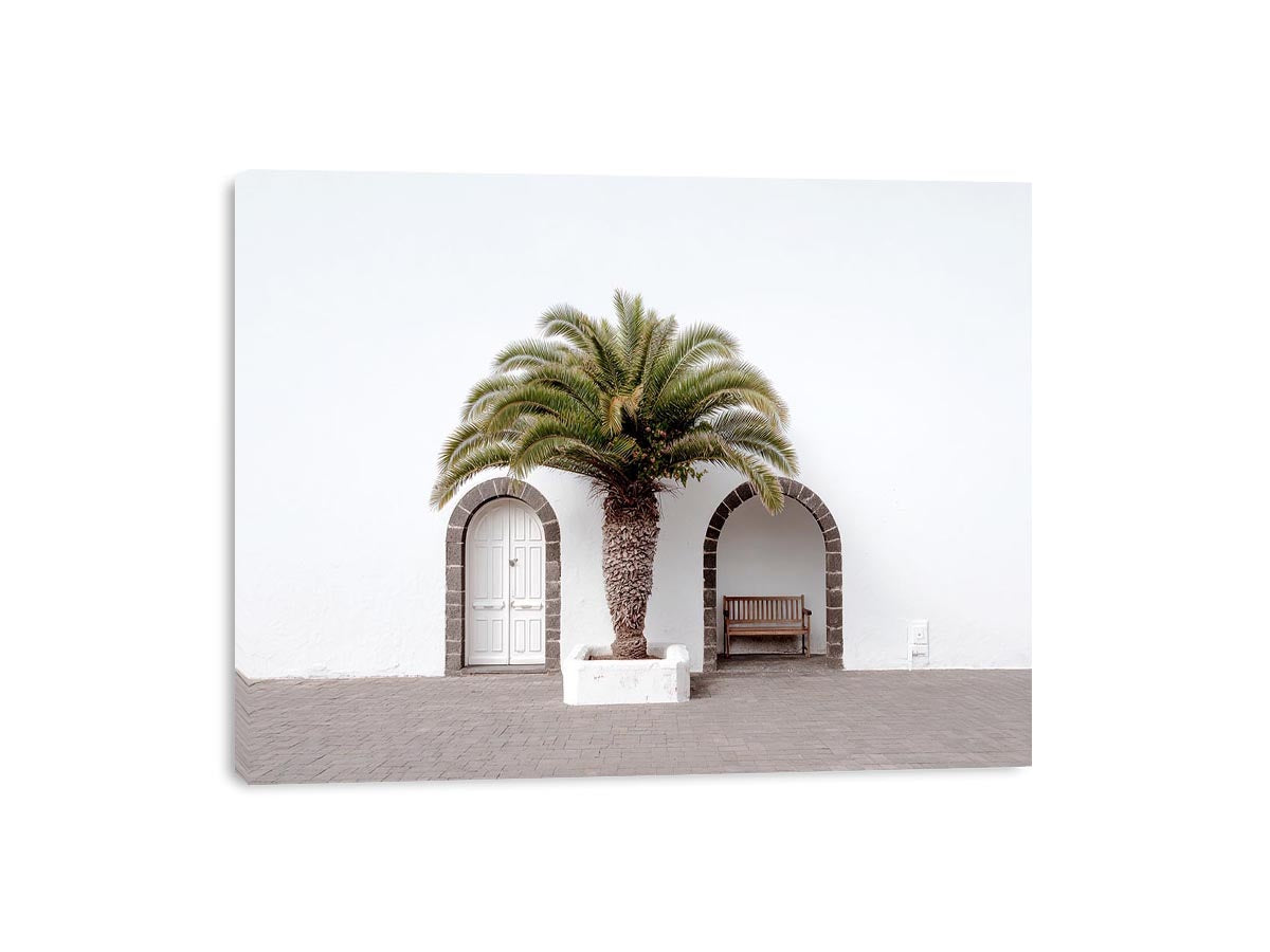 Beneath the Palm, Palm tree Door  canvas art print 