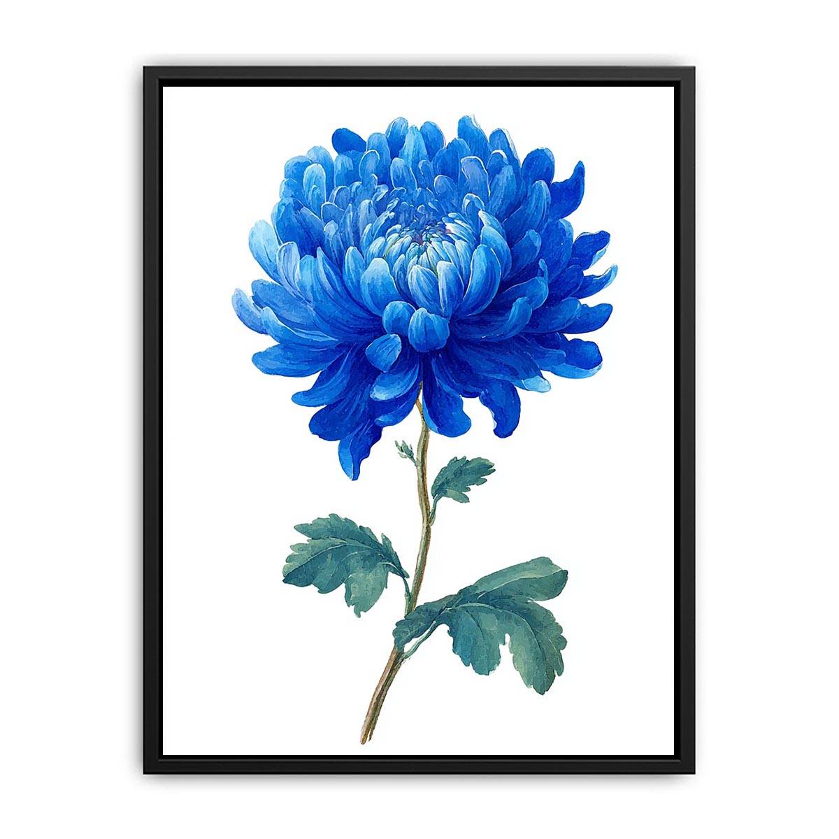 Blue Chrysanthemum  Flower Painting