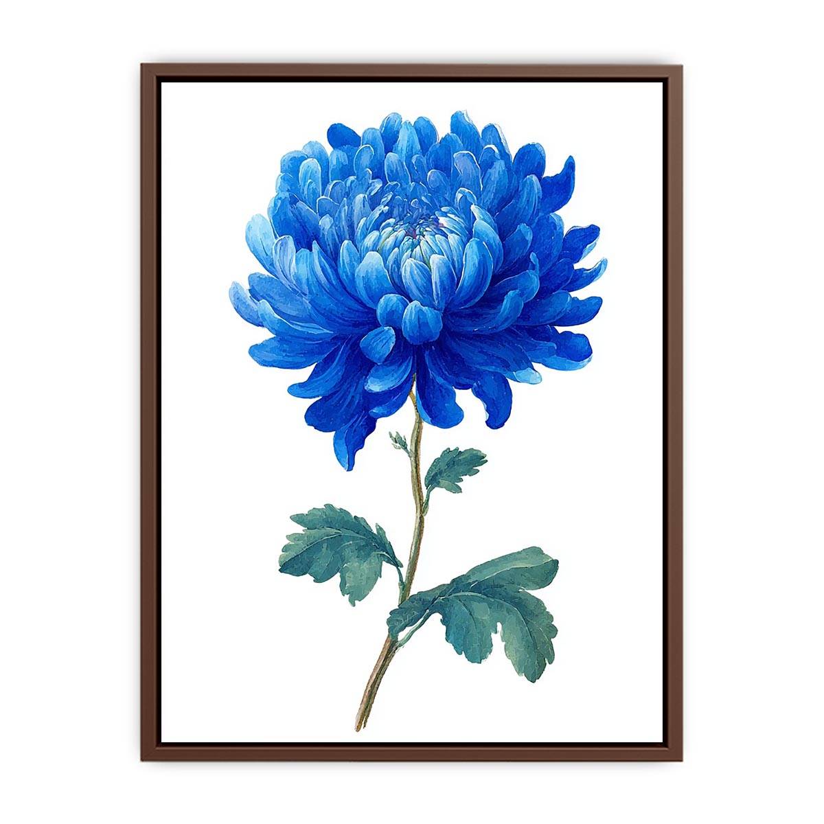 Blue Chrysanthemum  Flower Painting Art Print