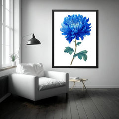 Blue Chrysanthemum  Flower Painting
