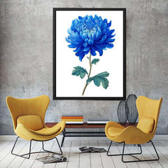 Blue Chrysanthemum  Flower Painting