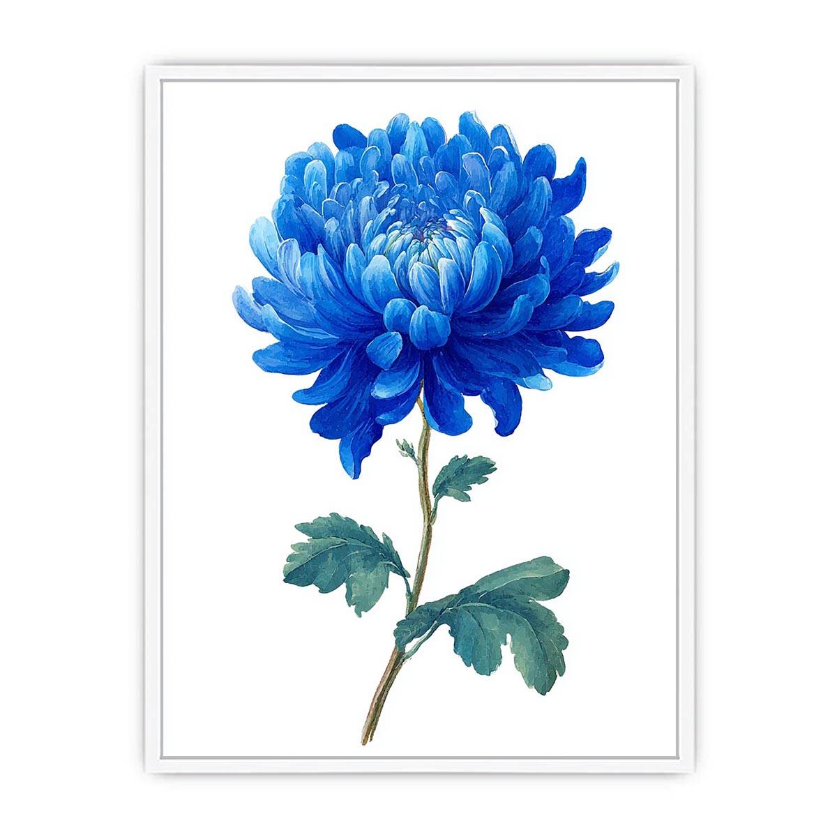 Blue Chrysanthemum  Flower Painting  canvas print